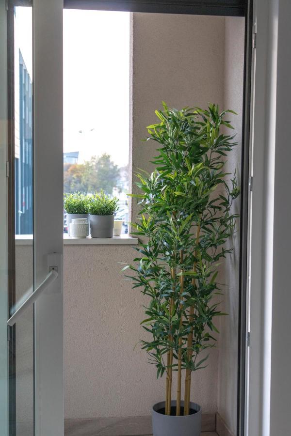 Fresh Comfort Apartment By Irundo ザグレブ エクステリア 写真